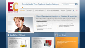 Design d'un site d'nologie